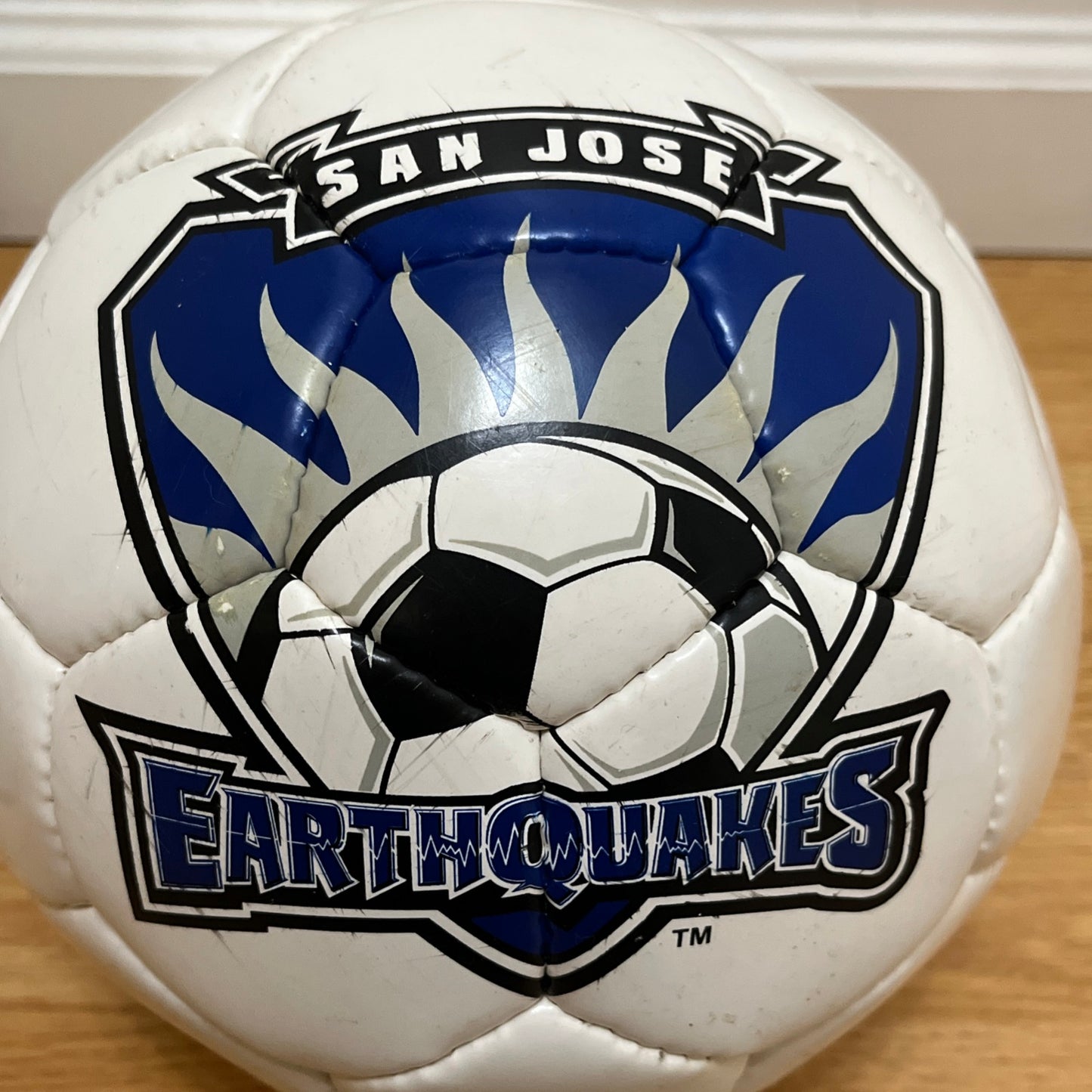 San Jose Earthquakes Soccer Ball MLS 2004 Souvenir *LEAK FOR DISPLAY ONLY*