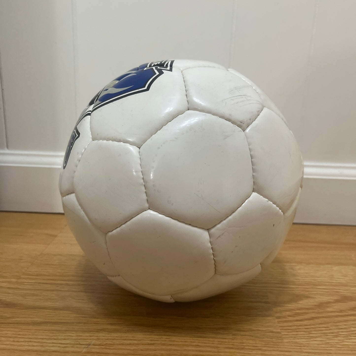 San Jose Earthquakes Soccer Ball MLS 2004 Souvenir *LEAK FOR DISPLAY ONLY*