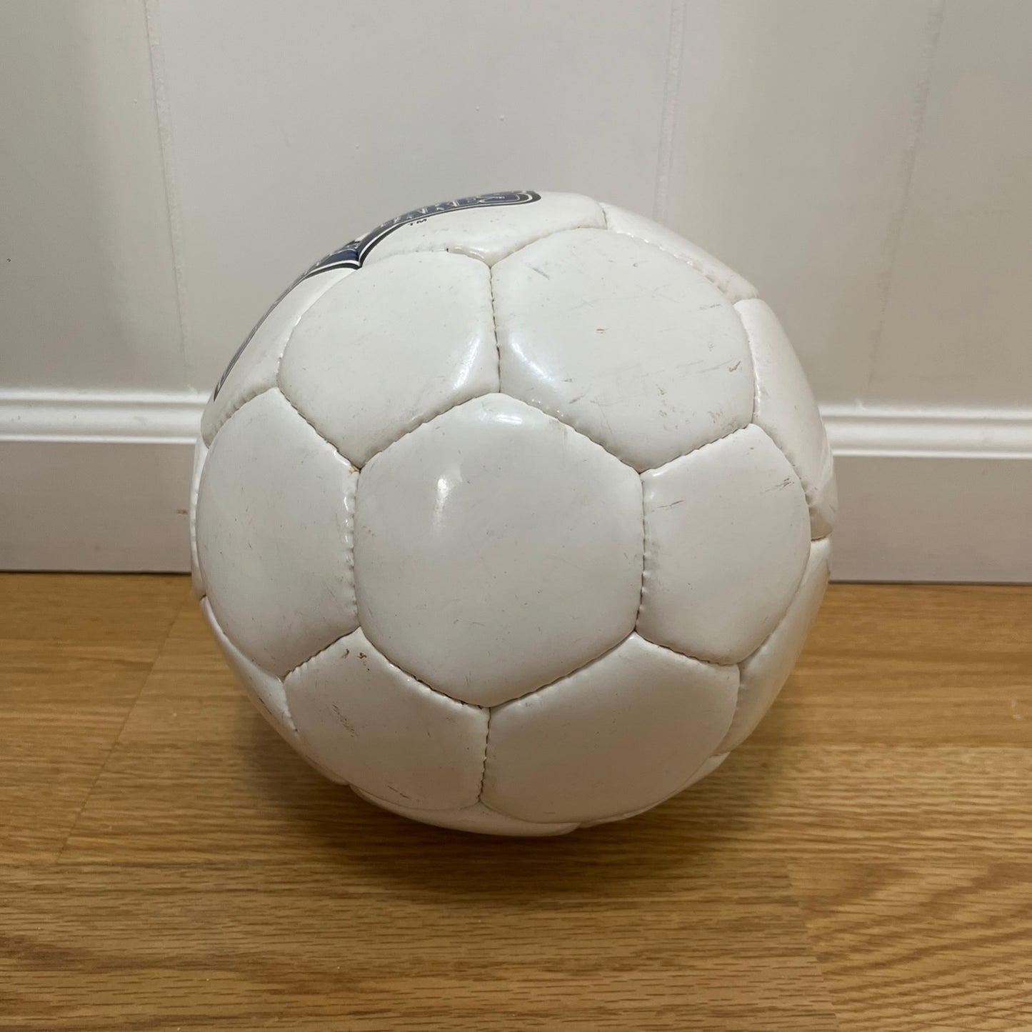 San Jose Earthquakes Soccer Ball MLS 2004 Souvenir *LEAK FOR DISPLAY ONLY*