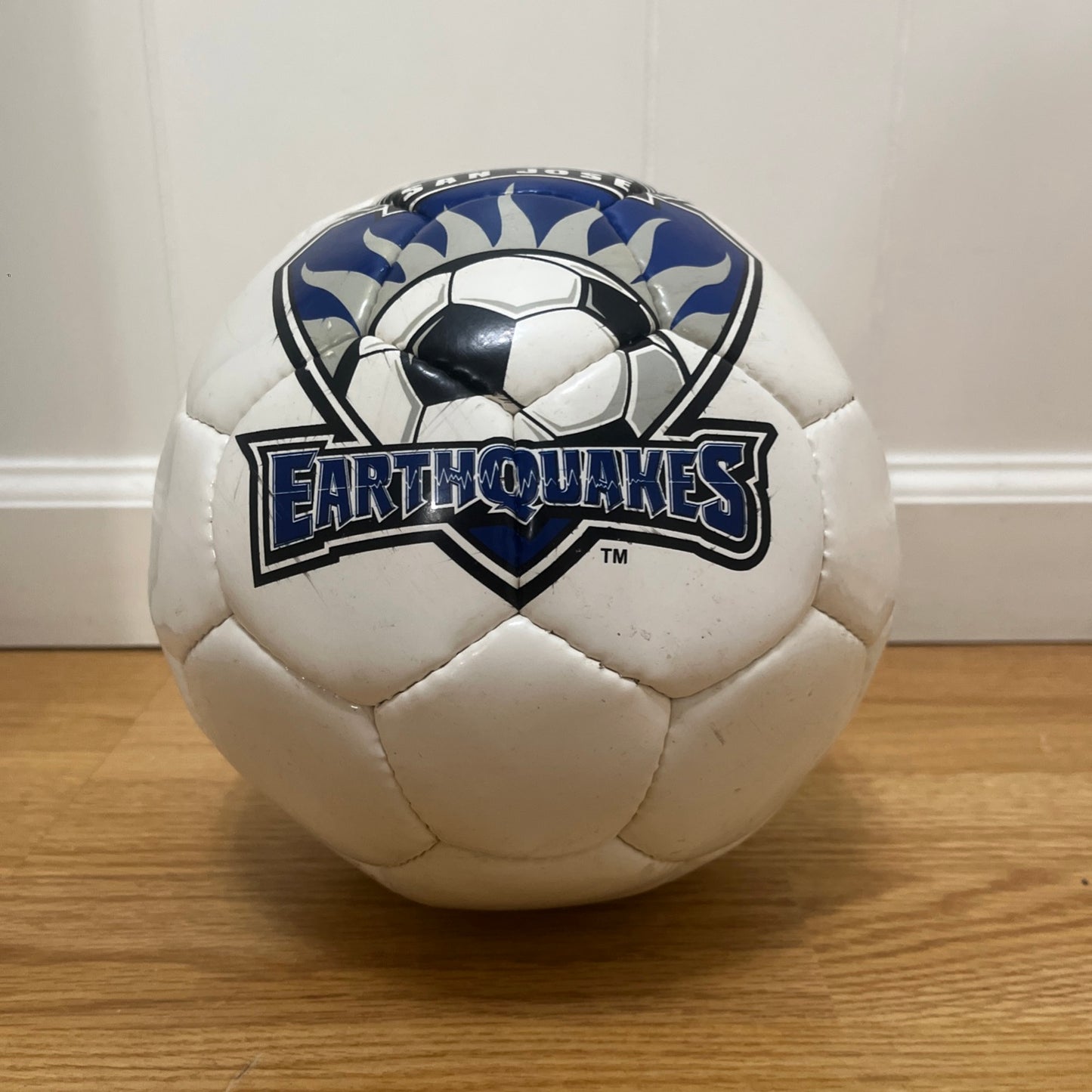 San Jose Earthquakes Soccer Ball MLS 2004 Souvenir *LEAK FOR DISPLAY ONLY*