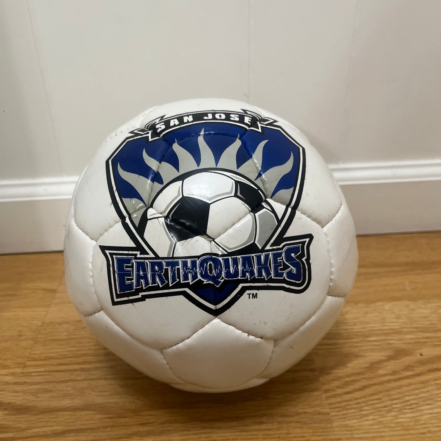 San Jose Earthquakes Soccer Ball MLS 2004 Souvenir *LEAK FOR DISPLAY ONLY*