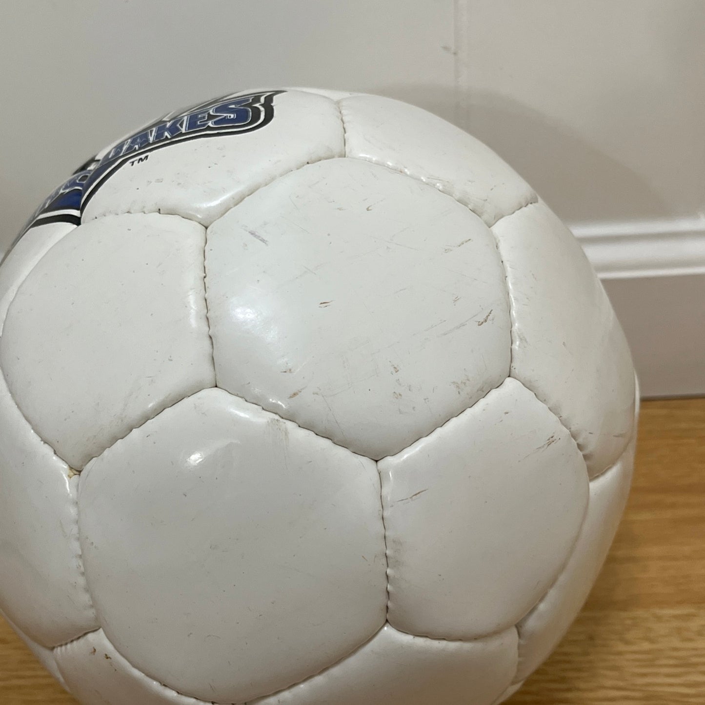 San Jose Earthquakes Soccer Ball MLS 2004 Souvenir *LEAK FOR DISPLAY ONLY*